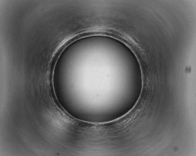 X0000100941216200807011237