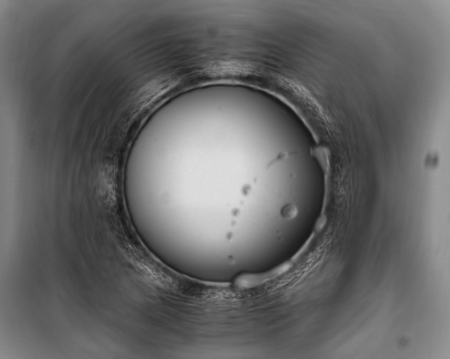 X0000100941217200807011237