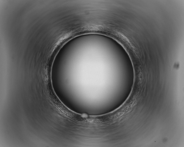 X0000100941218200807011237