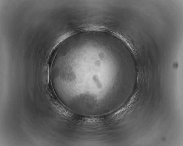 X0000100941219200807011237