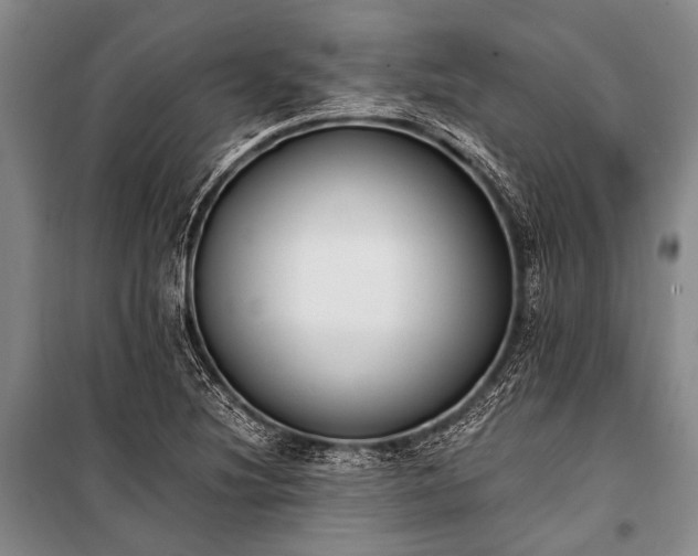 X0000100941220200807011237