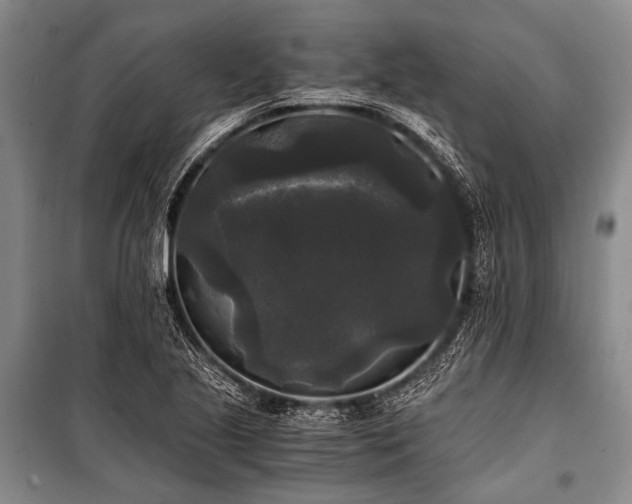 X0000100941221200807011237