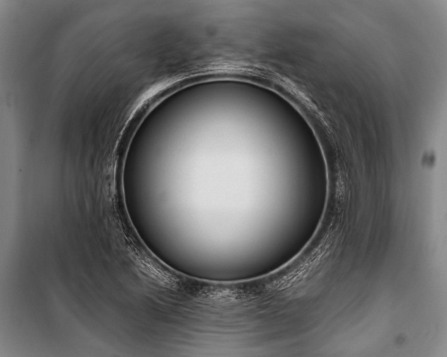 X0000100941222200807011237