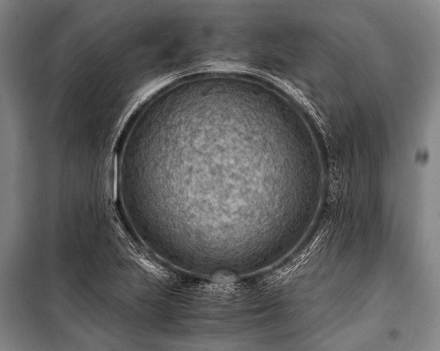 X0000100941223200807011237