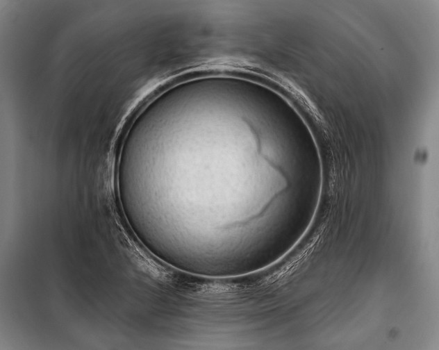 X0000100941224200807011237