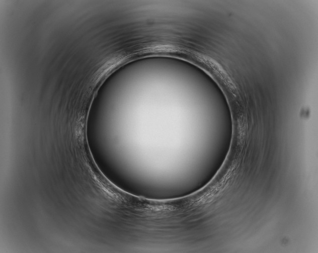 X0000100941225200807011237