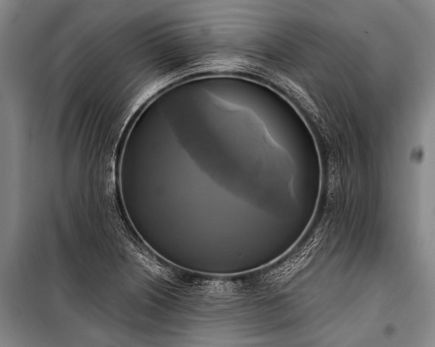 X0000100941226200807011237