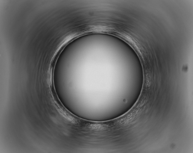 X0000100941227200807011237