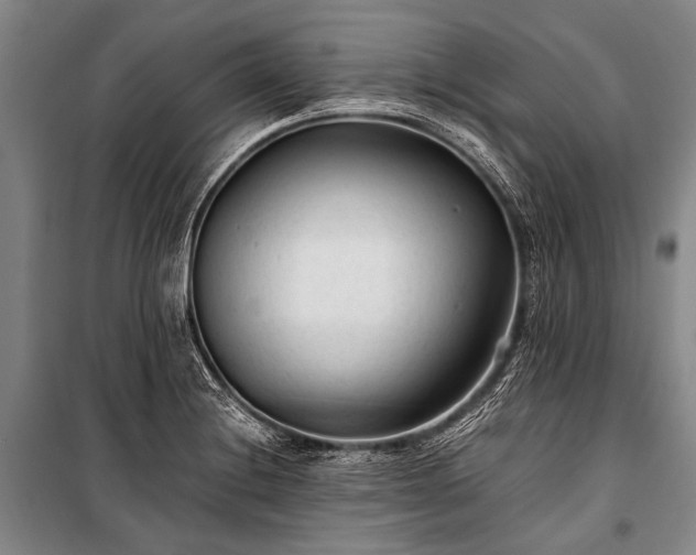 X0000100941228200807011237