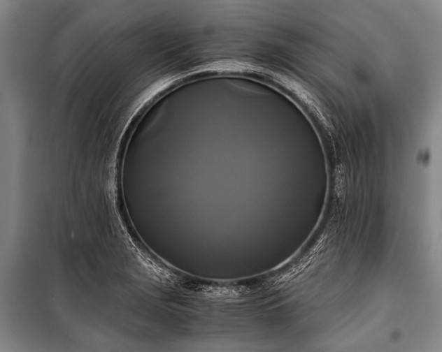 X0000100941229200807011237