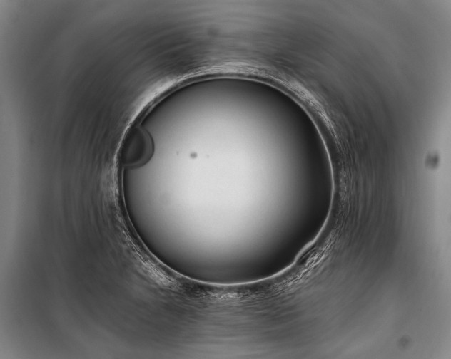 X0000100941230200807011237