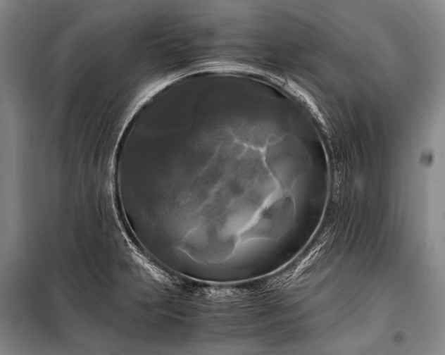 X0000100941231200807011237