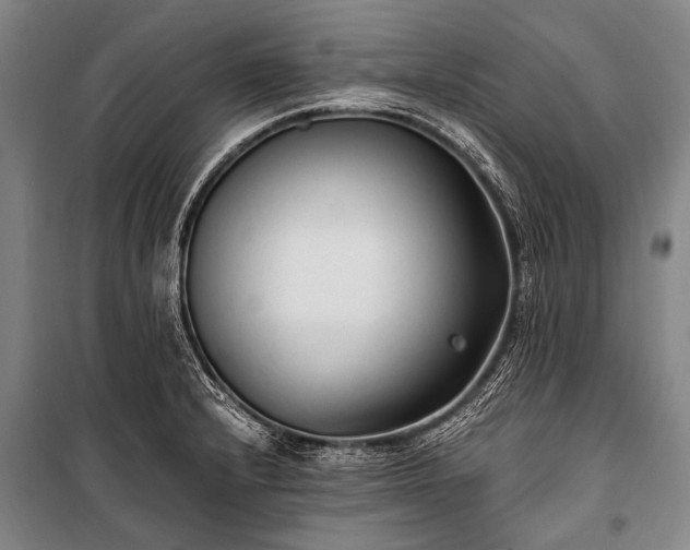 X0000100941232200807011237