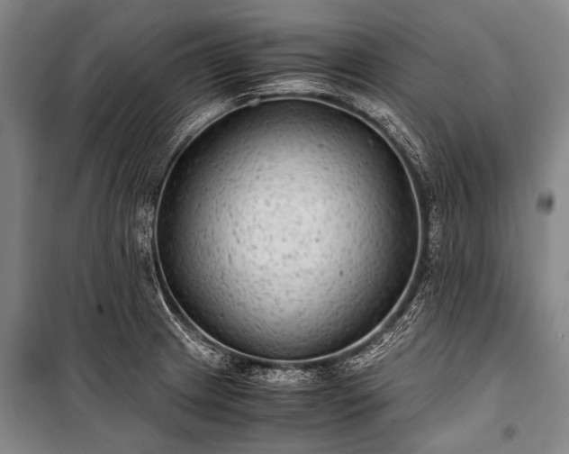 X0000100941233200807011237