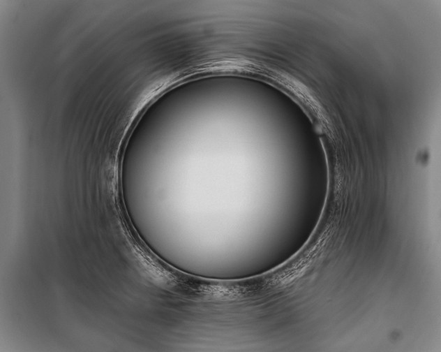 X0000100941234200807011237