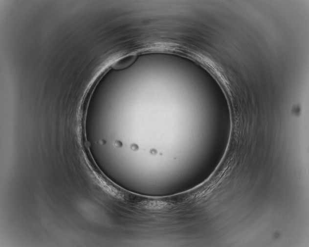 X0000100941235200807011237