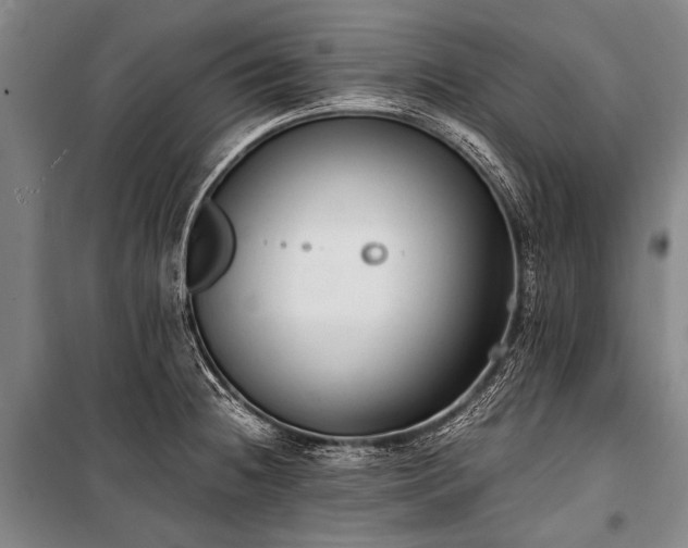 X0000100941236200807011237