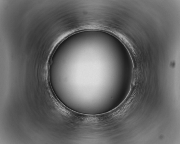 X0000100941238200807011237