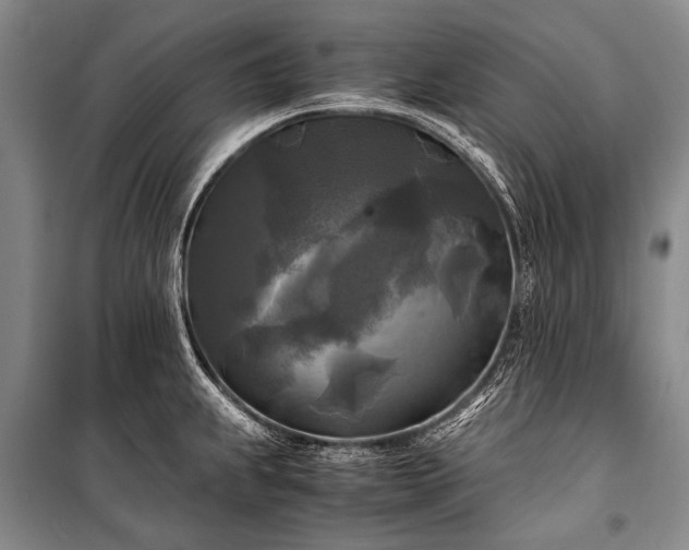 X0000100941239200807011237