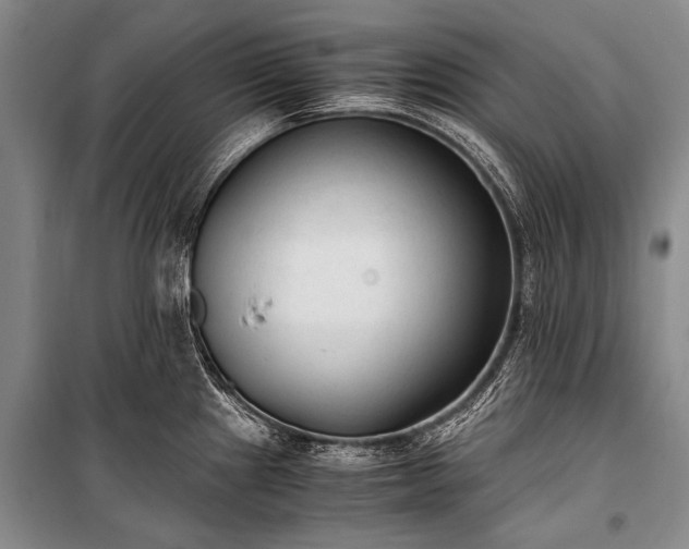 X0000100941241200807011237