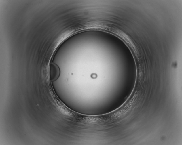 X0000100941242200807011237