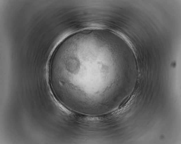 X0000100941243200807011237