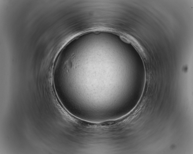 X0000100941244200807011237