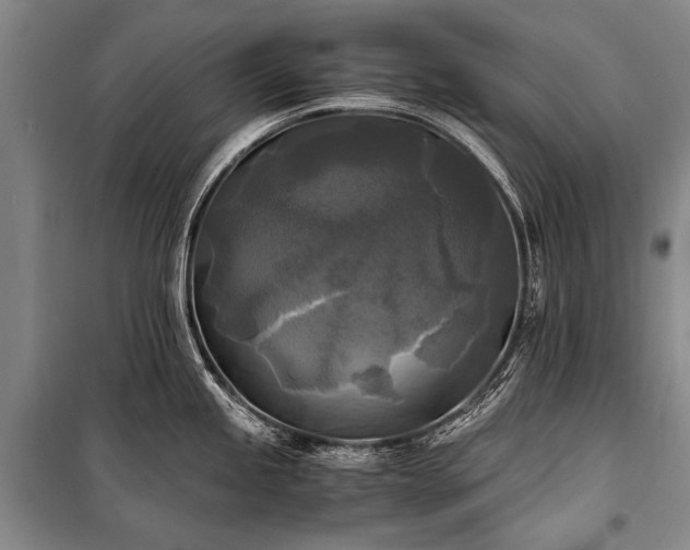 X0000100941245200807011237