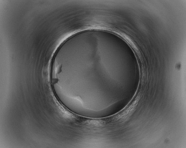 X0000100941246200807011237