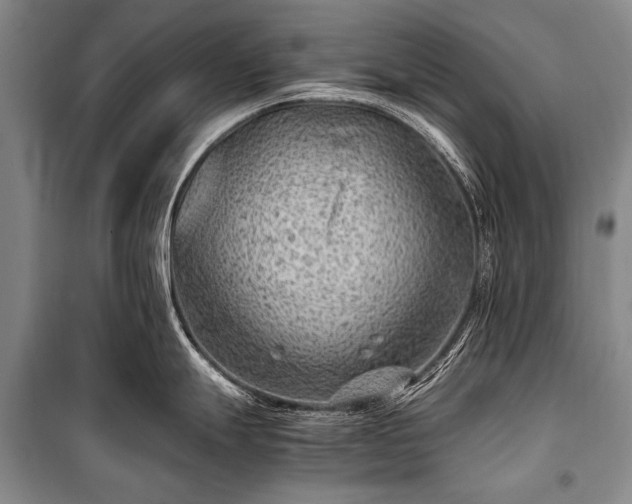 X0000100941247200807011237