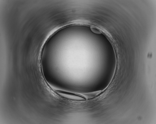 X0000100941248200807011237