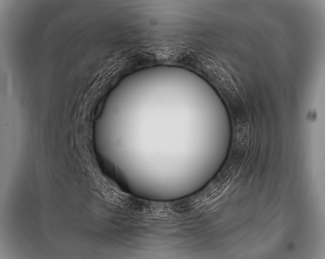 X0000100941249200807011237