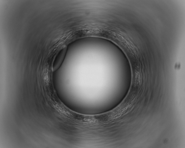 X0000100941250200807011237