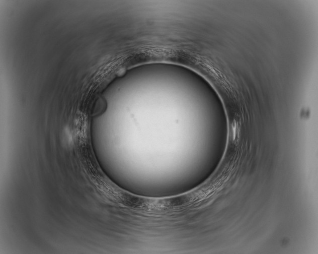 X0000100941251200807011237