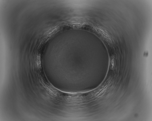 X0000100941252200807011237