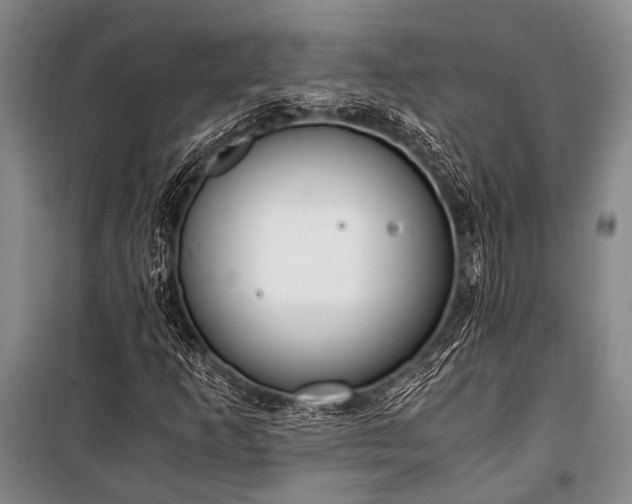 X0000100941253200807011237