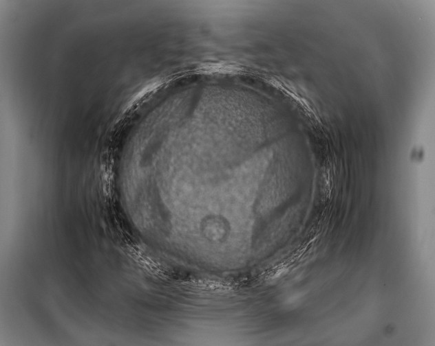 X0000100941254200807011237