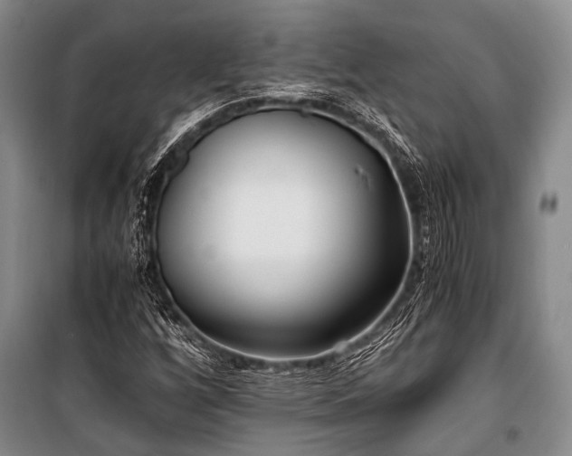 X0000100941256200807011236