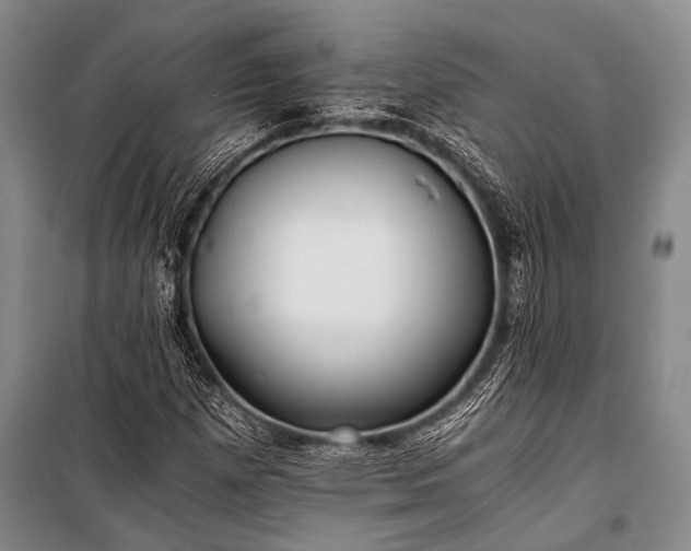 X0000100941257200807011236