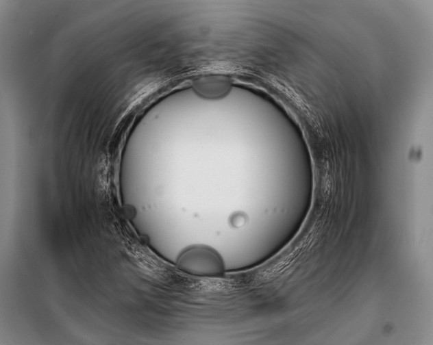 X0000100941258200807011236