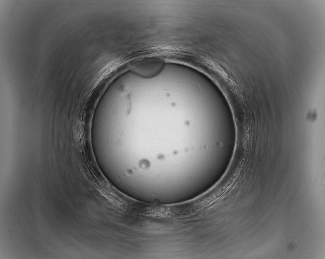 X0000100941259200807011236