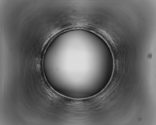 X0000100941260200807011236