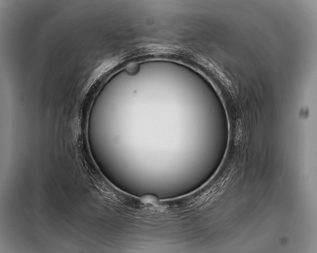 X0000100941261200807011236