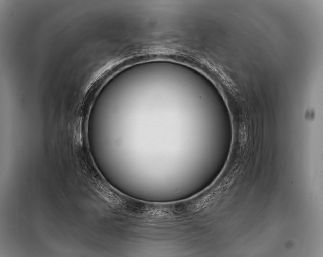 X0000100941262200807011236