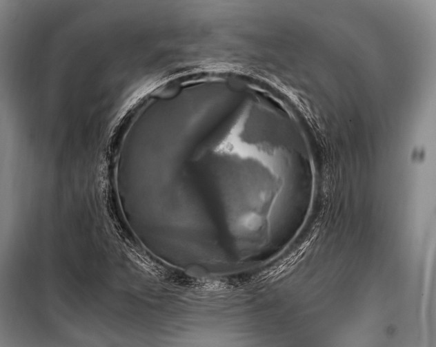 X0000100941263200807011236