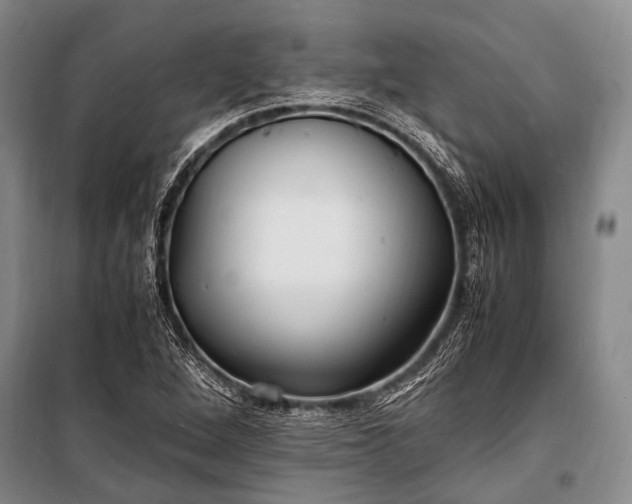 X0000100941264200807011236