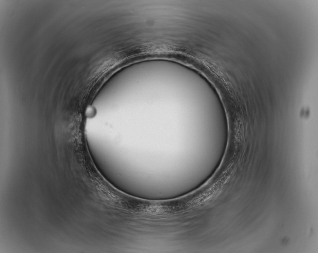 X0000100941265200807011236