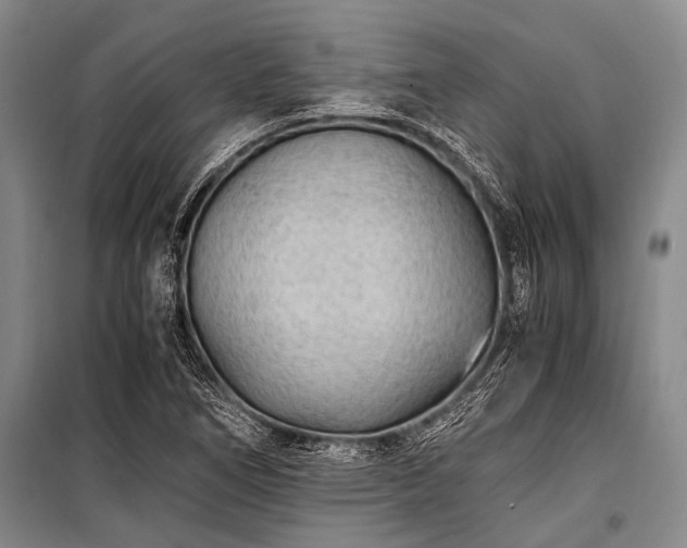 X0000100941266200807011236