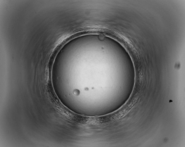 X0000100941267200807011236