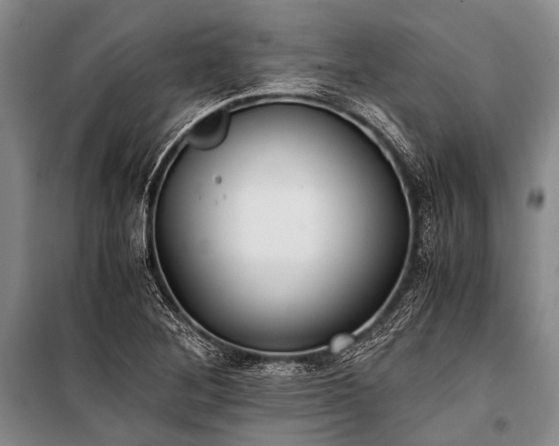 X0000100941268200807011236